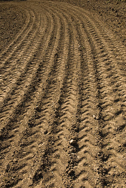 tire pistas en un campo, fondo - ackerfurchen fotografías e imágenes de stock