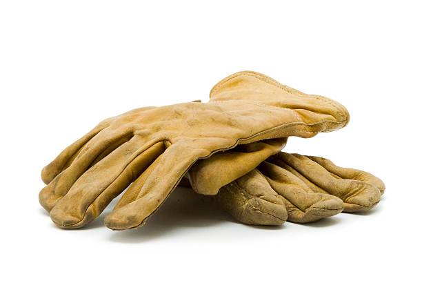 A pair of work gloves isolated on a white background.