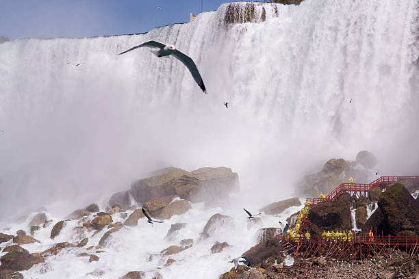 istock Man Dwarfed By Nature at Niagara 471078809