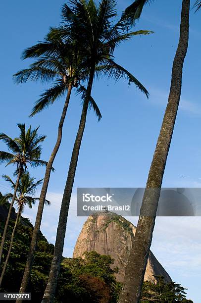 Sugarloaf Качаются Форма — стоковые фотографии и другие картинки Береговая линия - Береговая линия, Бразилия, Вертикальный