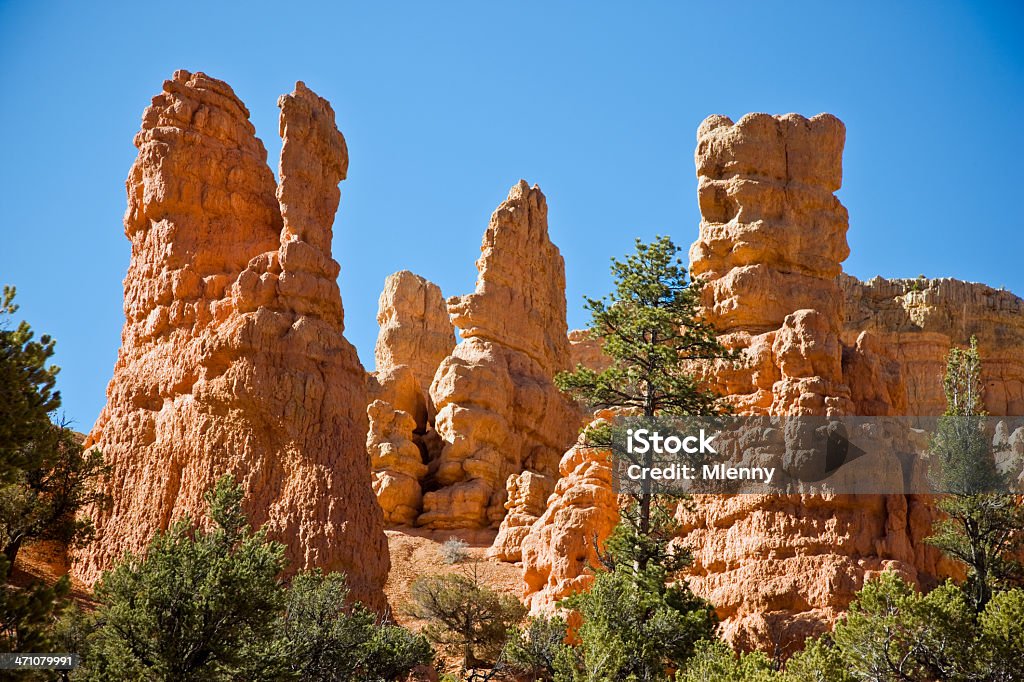 Bellissimo paesaggio Red Rock - Foto stock royalty-free di Albero