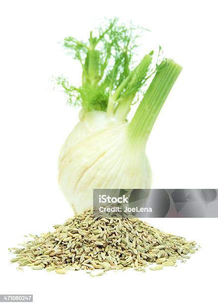 Fenchel Zwei Möglichkeiten Stockfoto und mehr Bilder von Bildschärfe - Bildschärfe, Fenchel, Fotografie