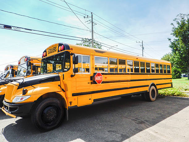 istock yellow school bus parked in row 471080534