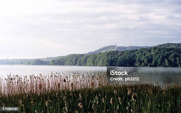 Early Morning View Stock Photo - Download Image Now - Silkeborg - Denmark, Lake, Backgrounds