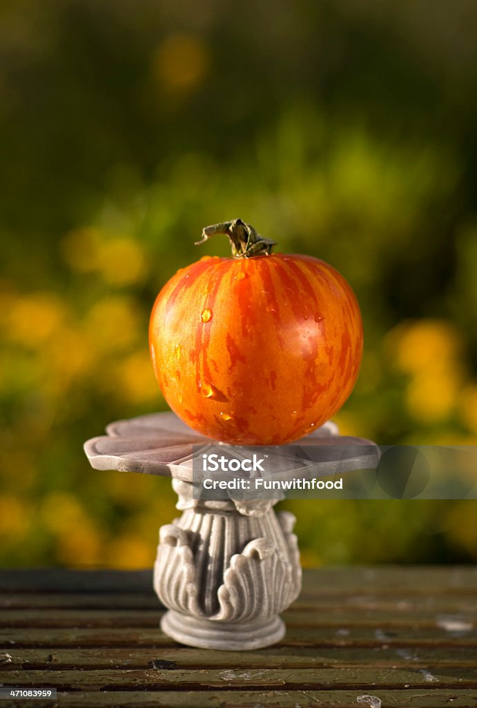 Eigengewächs Fleischtomate - Lizenzfrei Gestreift Stock-Foto