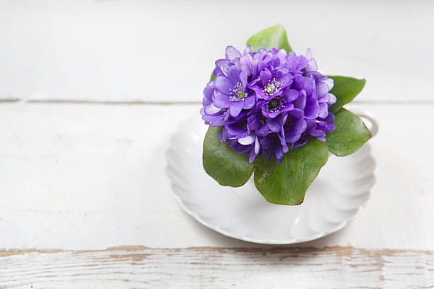 Violets flowers on wooden background