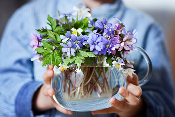 Little hands, holding glass vase with forest spring flower bouqu Little hands, holding glass vase with forest spring flower bouquet, close up holding child flower april stock pictures, royalty-free photos & images