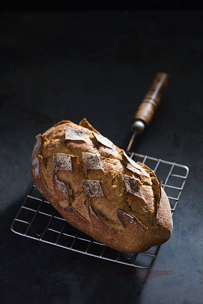 Bread on the dark background with space for copy stock photo