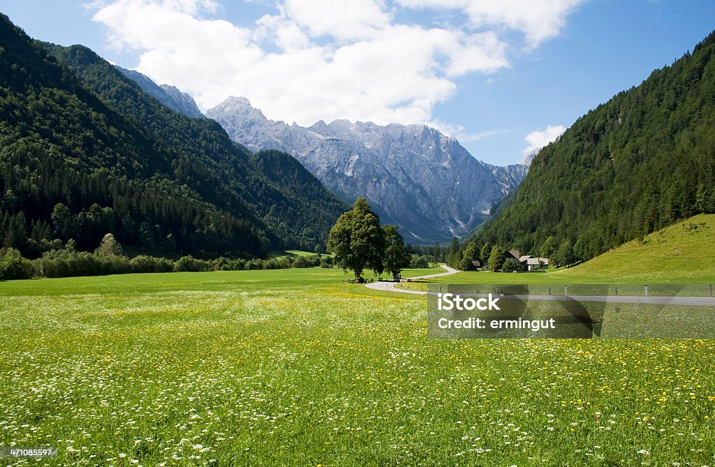 Bela Vale - Royalty-free Alpes Europeus Foto de stock