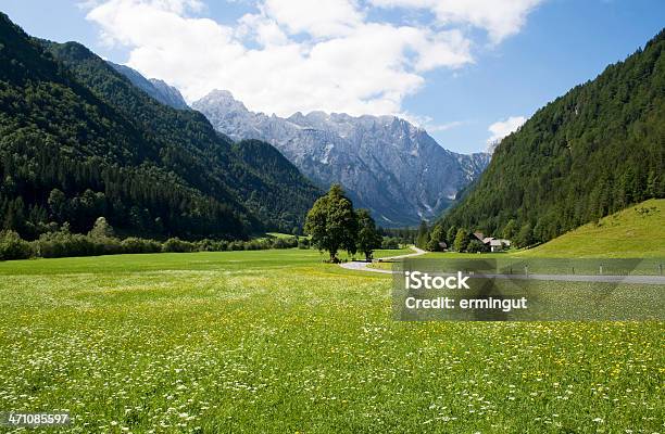 Bela Vale - Fotografias de stock e mais imagens de Alpes Europeus - Alpes Europeus, Azul, Beleza