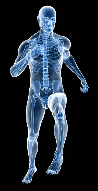 istock X-ray human body of a man with skeleton running 471086673