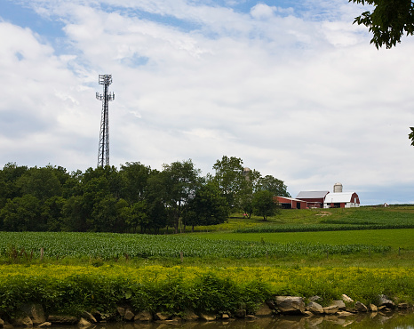 A farm, a cornfield and a cell tower.