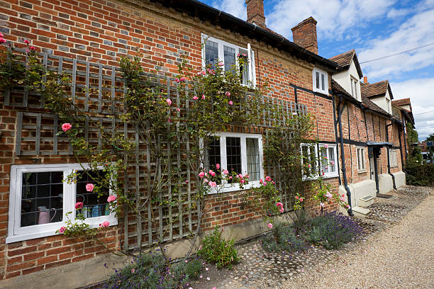 istock Town Cottages with Roses 471086955