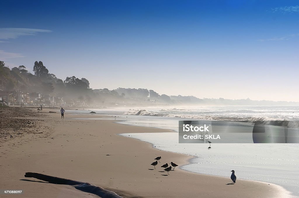 California Strand in der Morgensonne - Lizenzfrei Baum Stock-Foto