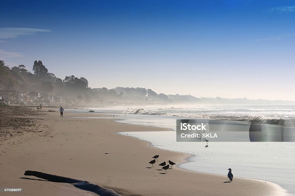 Kalifornijskie plażowe rano Słońce - Zbiór zdjęć royalty-free (Biały)