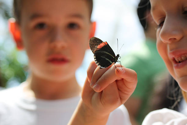 istock Children looking at butterfly on their hand 471089079