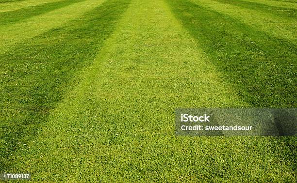 スポーツの芝生 - サッカーのストックフォトや画像を多数ご用意 - サッカー, グリーン, ゴルフ