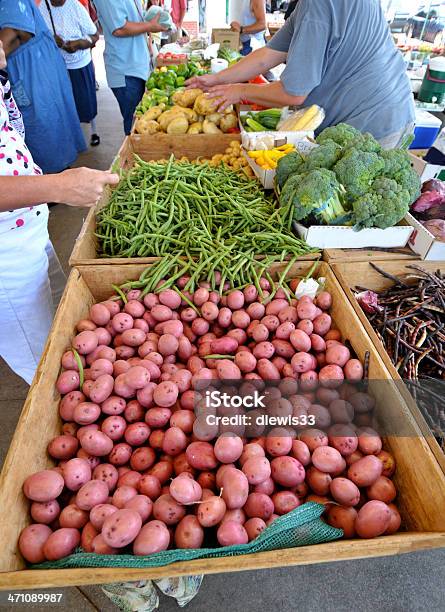 Batatas Temporãs No Mercado De Produtos Agrícolas - Fotografias de stock e mais imagens de Abóbora - Abóbora, Agricultura, Ao Ar Livre