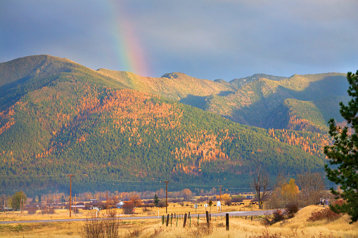 Montana oro Rainbow amarillo alerce árboles otoño colores de Missoula photo
