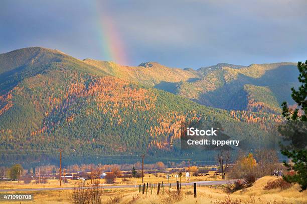 Montana Gold Rainbow Yellow Tamarack Trees Fall Colors Missoula Stock Photo - Download Image Now