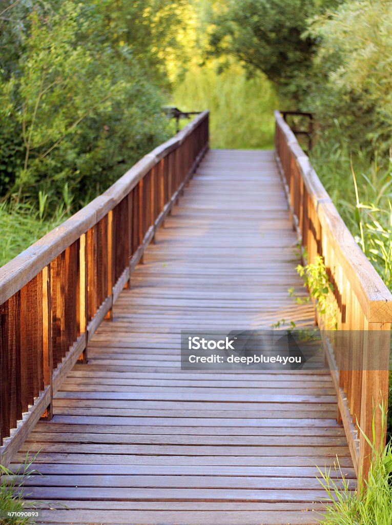 Holz-Brücke in die greens - Lizenzfrei Auseinander Stock-Foto