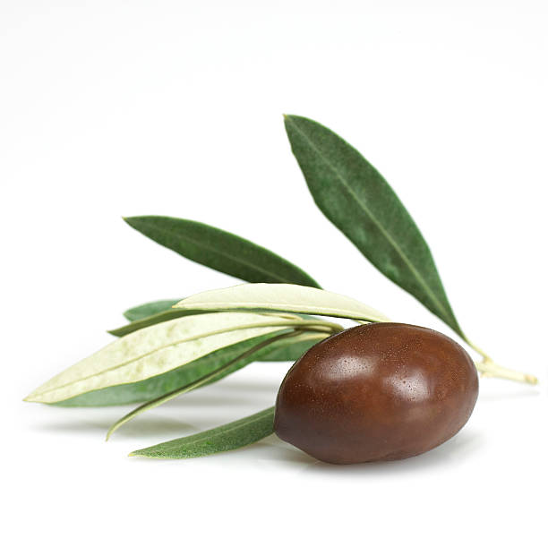 블랙 올리브 및 잎 - calamata olive 뉴스 사진 이미지