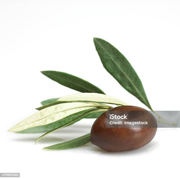 Black Olive With Leaves Stock Photo - Download Image Now - Olive - Fruit, Brown, Black Color