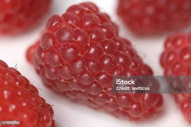 Framboesas Rubus Loganobaccus - Fotografias de stock e mais imagens de Framboesa Silvestre - Framboesa Silvestre, Agricultura, Alimentação Saudável