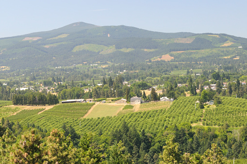 Overview of Hood River Valley, Oregon