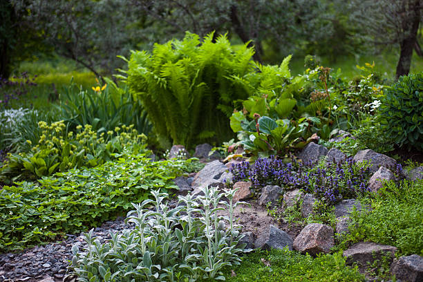 istock Rock garden containing lush vegetation 471093494
