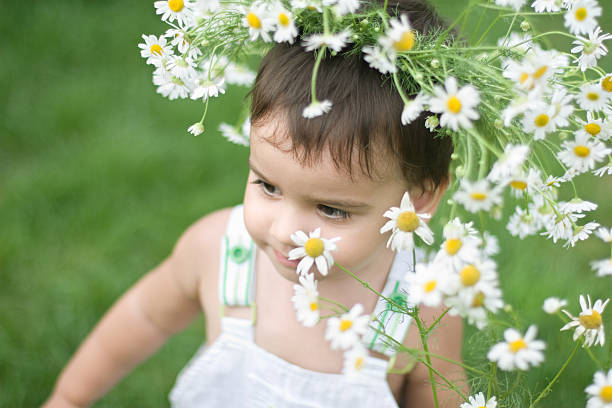 portrait of a baby in daisy wreath holding a bunch of daisies. shallow dof - 