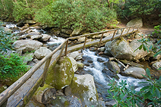 歩道橋にな - waterfall great smoky mountains great smoky mountains national park tennessee ストックフォトと画像