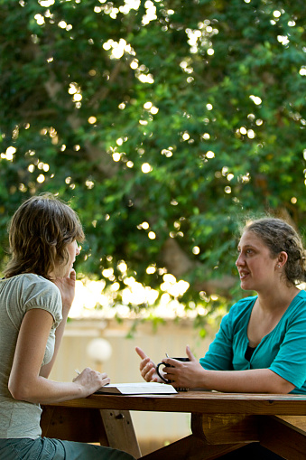 Two young women study and discuss a book (the Bible, homework, text book, etc) outside on a warm summer day at the park.  