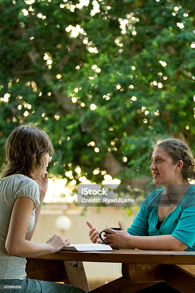 Friends, Coffee, and Book Discussion Two young women study and discuss a book (the Bible, homework, text book, etc) outside on a warm summer day at the park.   Bible Stock Photo