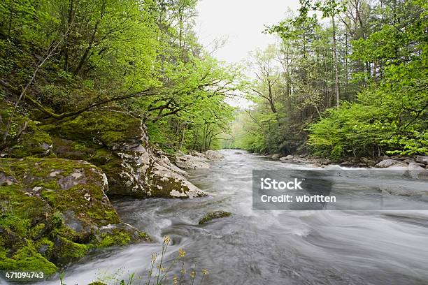 Song Of The Rain Stock Photo - Download Image Now - Tennessee, Adventure, Appalachia