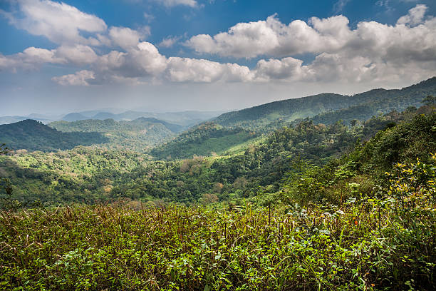 istock mountain peak in the rain forest and most cloudy 471095084