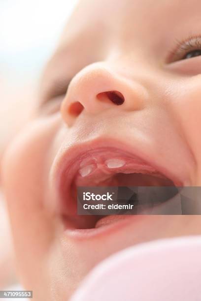 Primeiro Dentes - Fotografias de stock e mais imagens de Bebé - Bebé, Crescimento, 6-11 meses