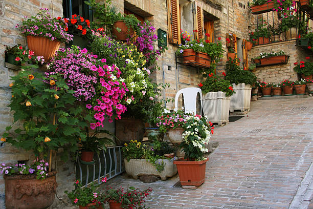 istock Alley in Tuscany 471096115