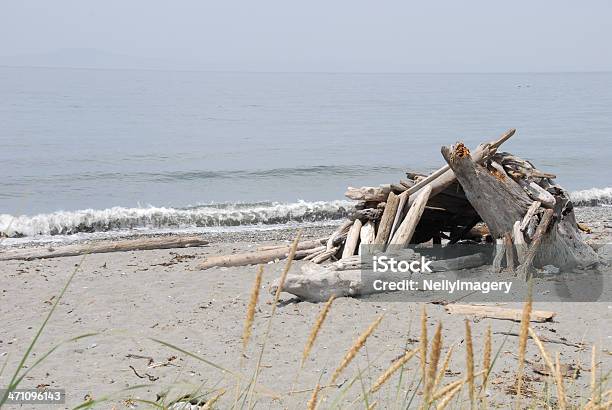 Driftwood Spiaggia Shelter - Fotografie stock e altre immagini di Deception Pass - Deception Pass, Ambientazione esterna, Assenza