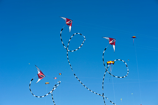 Kite Flying in Newport Rhode Island
