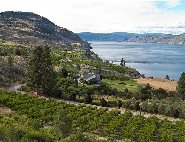 istock orchard hills and lake 471096611
