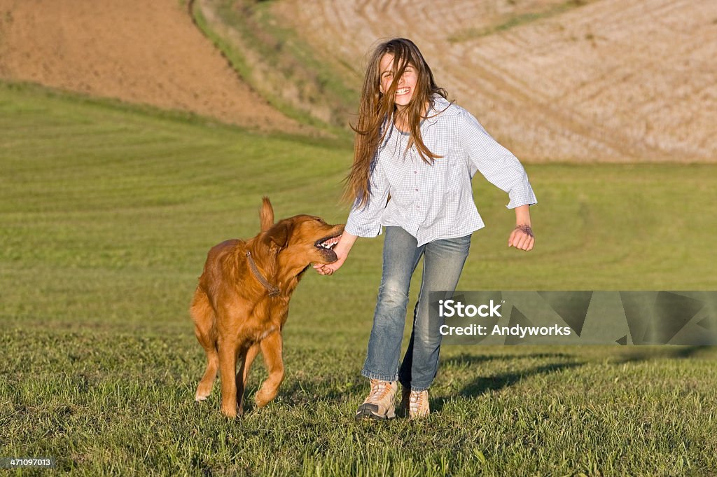 Lea e Rio - Foto de stock de Cão royalty-free