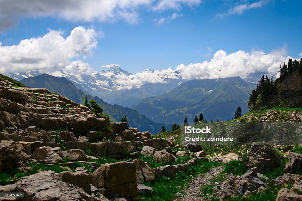 Eiger - Foto de stock de 2000-2009 libre de derechos