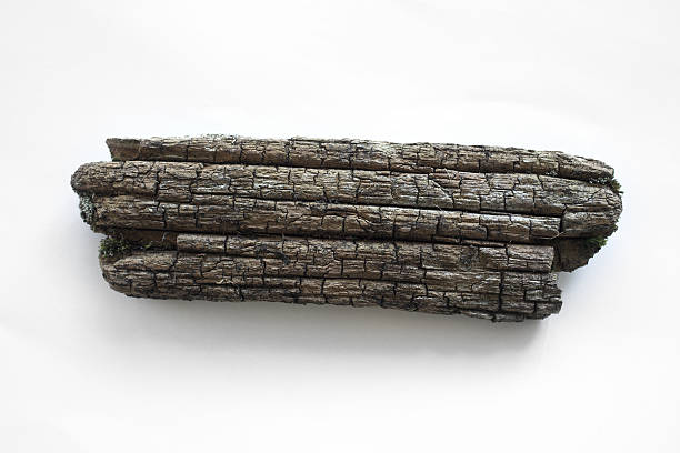 Piece of naturally burned wood stock photo