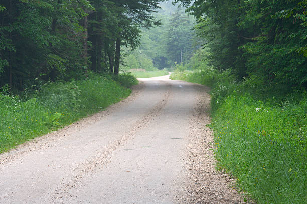 istock Country Road through Summer Forest 471097267