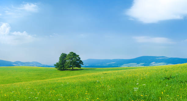 istock Panoramic spring landscape  89MPix XXXXL meadow, blue sky, clouds 471097453