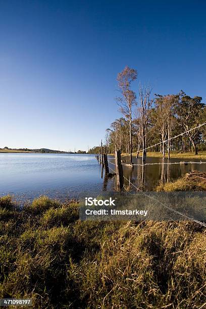 Vale Hunter Scenic - Fotografias de stock e mais imagens de Agricultura - Agricultura, Arame farpado, Austrália