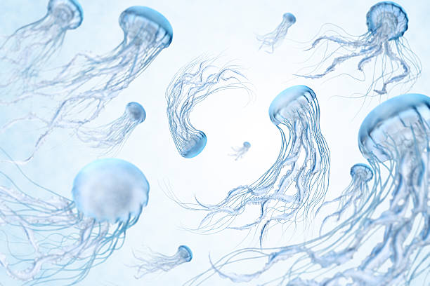 Dancing Blue Jellyfish on bright background