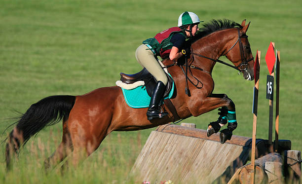 istock Cross Country Equestrain 471099085
