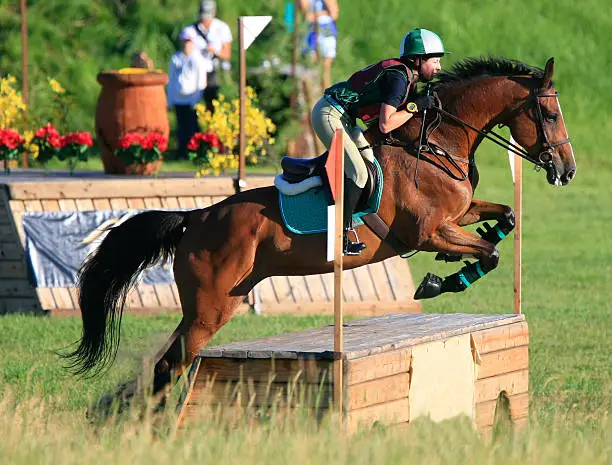 a cross country jump on an equestrian course.